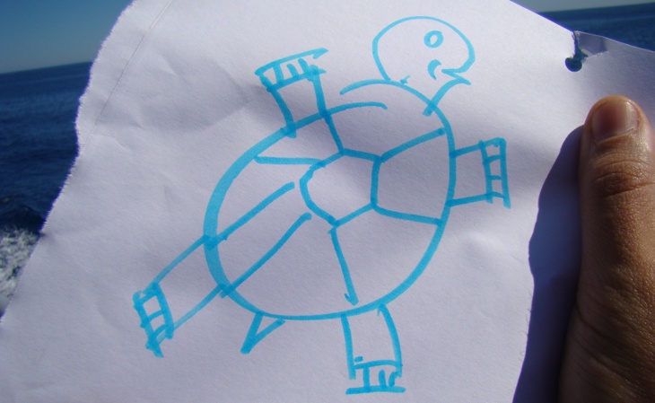 Une belle tortue de mer